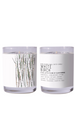 White Birch Candle